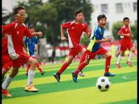 法兰克福vs斯图加特直播_法兰克福vs斯图加特直播免费观看_法兰克福vs斯图加特直播无插件观看